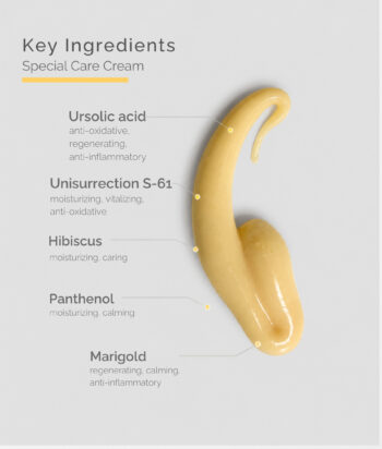 Special Care Cream - Image 5